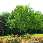 Wiesenblick Geldern