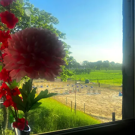 Apartman Wiesenblick Geldern