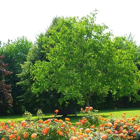 Wiesenblick 겔드런